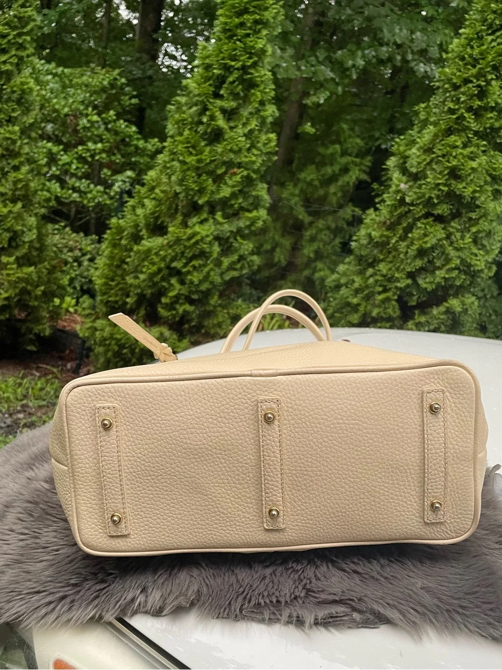 Dooney & Bourke dooney bourke